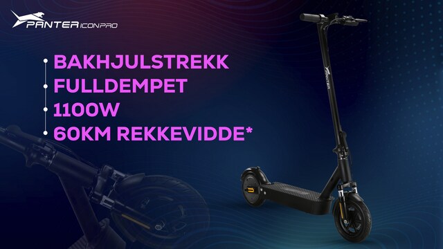 Panter Icon Pro Panter Icon Pro