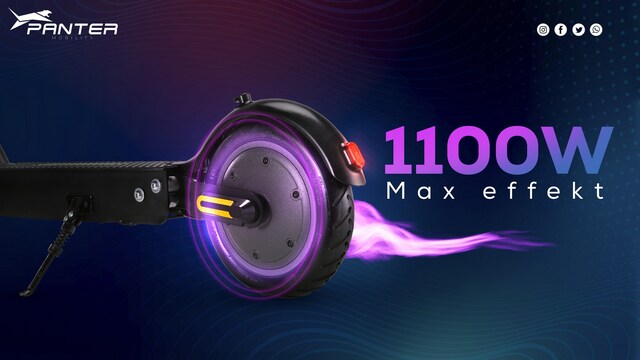 Panter Icon Pro Panter Icon Pro