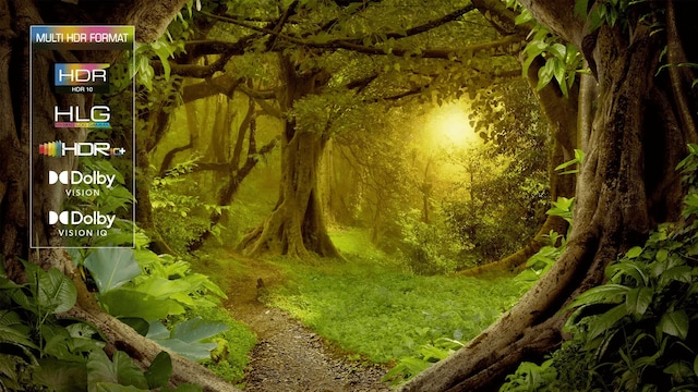 TCL 115" QLED 4K Google TV 115X955 MAX