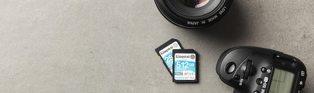 Kingston Canvas Go Plus SDXC