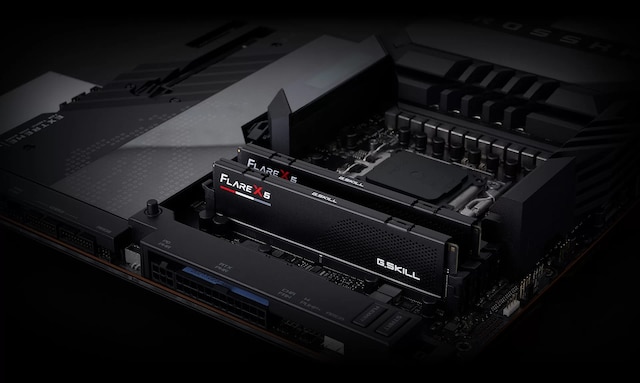 G.Skill Flare X5 G.Skill Flare X5